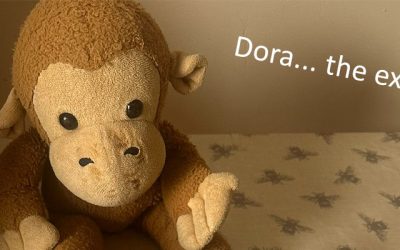 The Curious Case of the Missing Monkey 🐵✈️