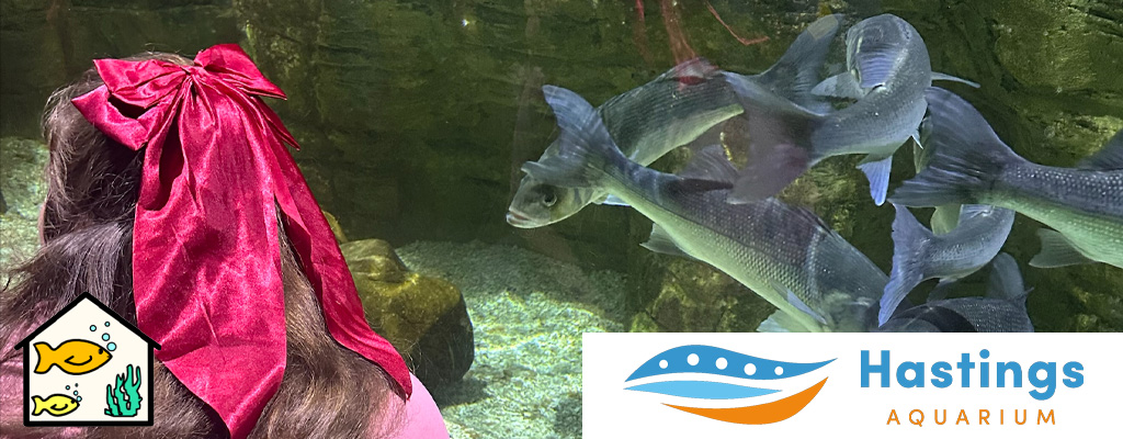 hastings aquarium jemini response