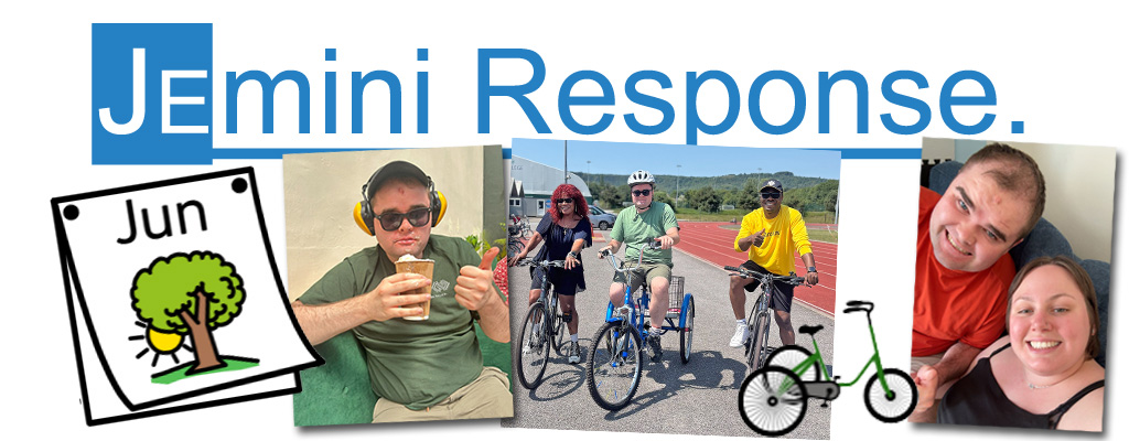 june blog jemini response