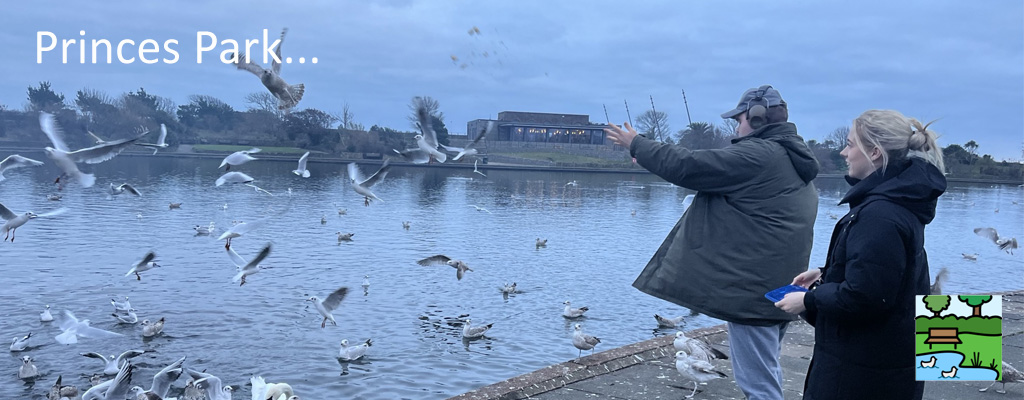 Harry at Princes Park in Eastbourne - Jemini Response