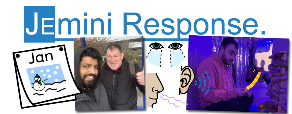 January at Jemini Response