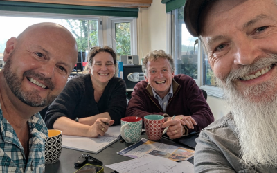 Website Meeting